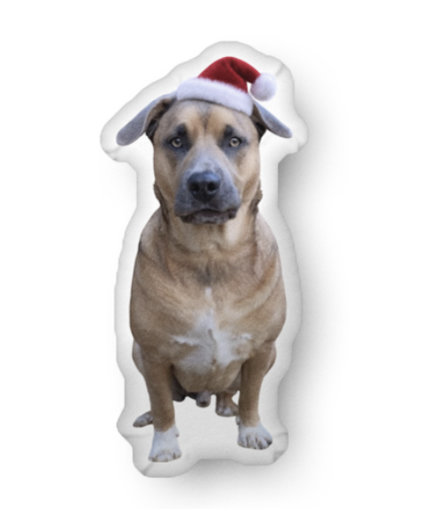 Sample shaped pillow of Piper Kona wearing a Santa hat